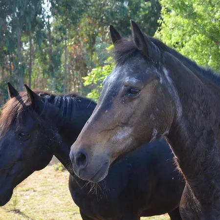 Aldeamento Turístico Boavista - Rural Perto Da Ericeira