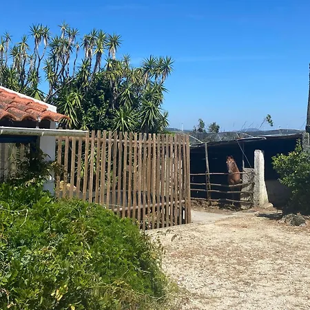 Boavista - Rural Perto Da Ericeira Aldeamento Turístico